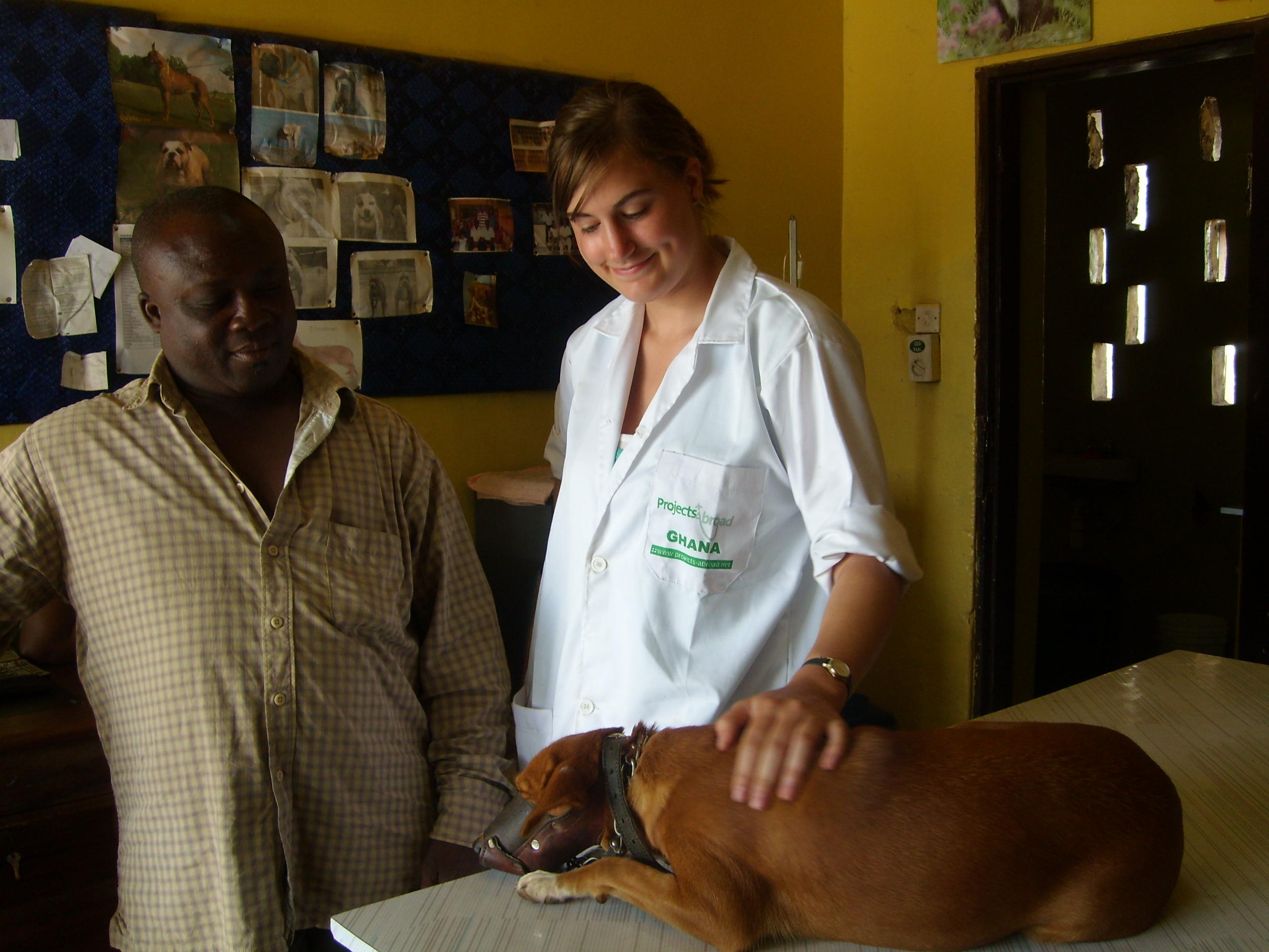 A Veterinary Medicine intern in Ghana reassures a worried owner that his dog will be fine at a local clinic. A local man talks to an intern doing a Veterinary Medicine internship in Ghana about his dog.